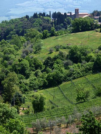 The hills around Montalcino, Tuscany, Italyの写真素材