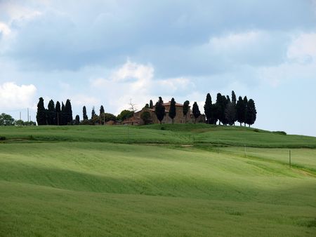 The landscape of the Val dOrcia. Tuscany. Italyの写真素材