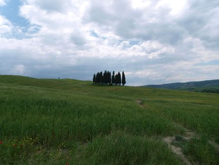 The landscape of the Val dï¿½Orcia. Tuscany. Italyの写真素材