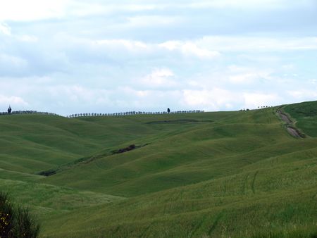 The landscape of the Val dï¿½Orcia. Tuscany. Italyの写真素材
