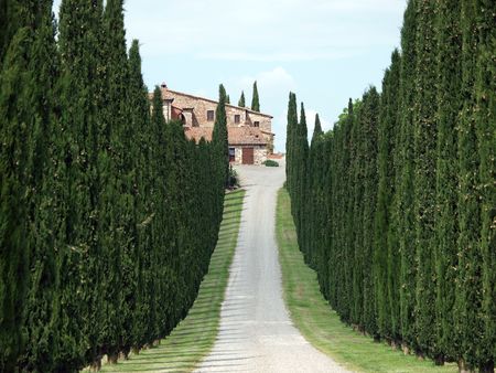 The landscape of the Val dï¿½Orcia. Tuscany. Italyの写真素材