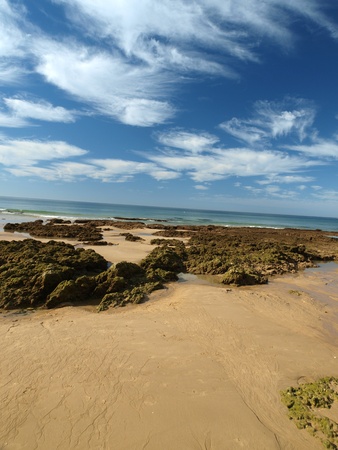 Algarve coast at low tide the ocean 
の写真素材