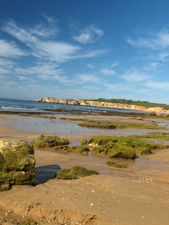 Algarve coast at low tide the ocean 
の写真素材