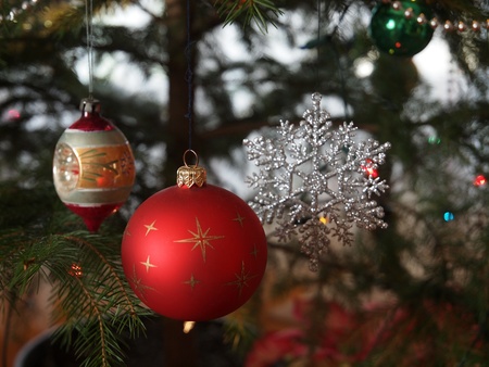 Christmas pine glass ball の写真素材