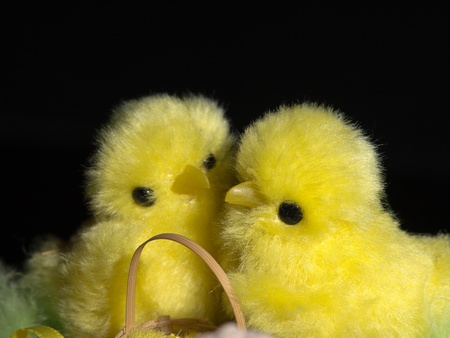 easter decoration isolated on black background 