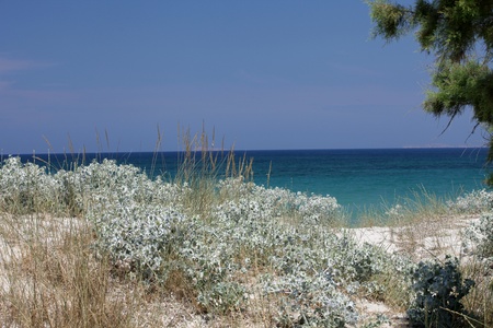 Mastichari beach on Kos Island, Dodecanese
の写真素材