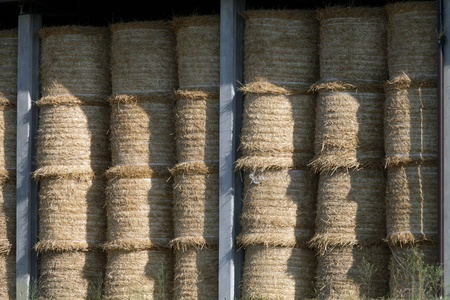 The landscape of the  Tuscany. Italyの写真素材