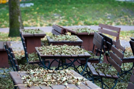 The symbolic end of summerの写真素材