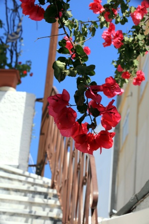 Traditional colors for Greek architectureのeditorial素材