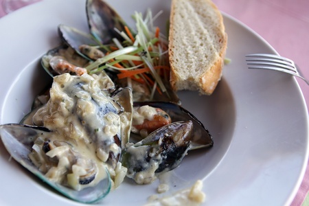 delicious mussels in cream sauceの写真素材