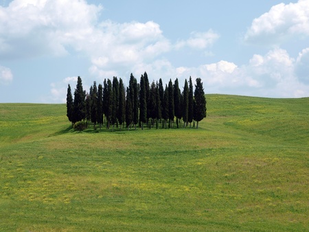 The landscape of the Val dâOrcia. Tuscany.の写真素材