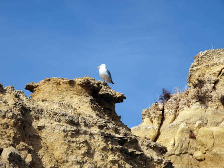 Picturesque Alagarve coast between Lagos and the Cap Vincentの写真素材