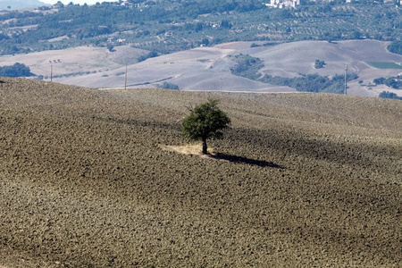 The hills around Pienza and Monticchiello  の写真素材