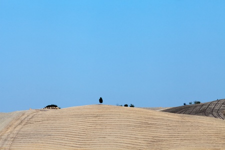 The landscape of the  Tuscany  Italyの写真素材