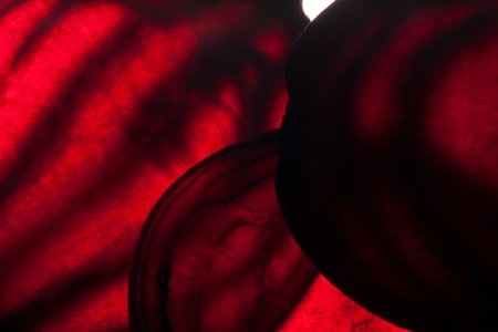 sliced raw beetの写真素材