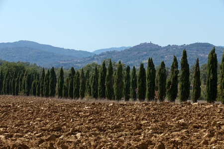 The landscape of the  Tuscany. Italyの写真素材