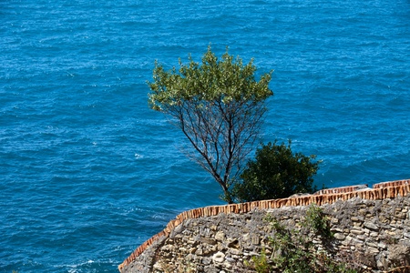Cliffs in Riomaggiore.  Cinque Terre, Liguria, Italyの写真素材