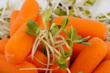 Fresh alfalfa sprouts and carrot isolated on white backgroundの写真素材