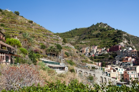 Manarola - one of the cities of Cinque Terre in italyの写真素材