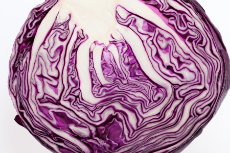 Red Cabbage cross section on White Background の写真素材