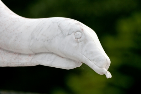 Marble head of snake の写真素材