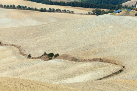 Crete Senesi - The landscape of the  Tuscany. Italyの写真素材