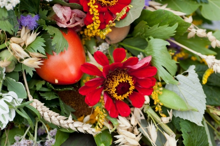 beautiful bouquets of flowers and herbsの写真素材