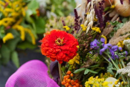 beautiful bouquets of flowers and herbsの写真素材