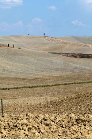 Crete Senesi - The landscape of the  Tuscany  Italyの写真素材