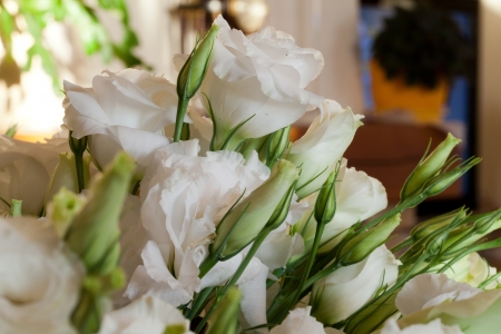 White Rosesの写真素材