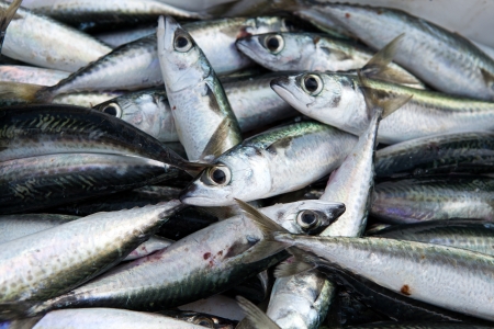 Fresh fish on ice on the market 