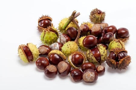 ripe chestnuts isolated on a white backgroundの写真素材