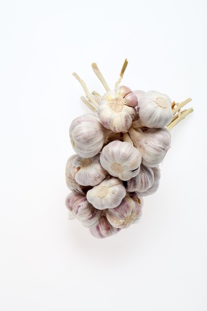fresh garlic  on white background の写真素材
