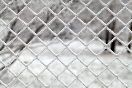 Winter landscapeの写真素材