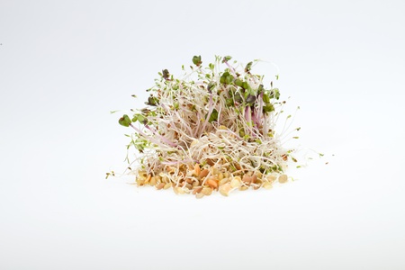 The healthy diet. Fresh sprouts isolated on white background の写真素材