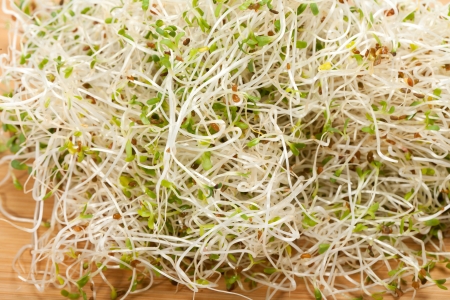 The healthy diet. Fresh sprouts isolated on white background の写真素材