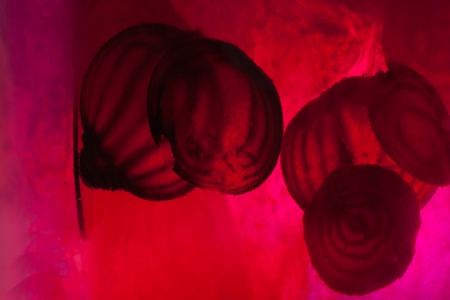 sliced raw beetの写真素材