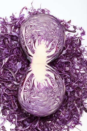  Red  Cabbage  on White Background の写真素材