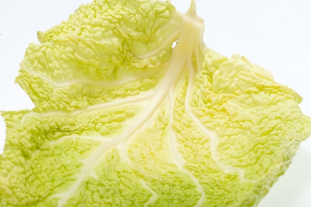 fresh savoy cabbage leaf as a texture の写真素材