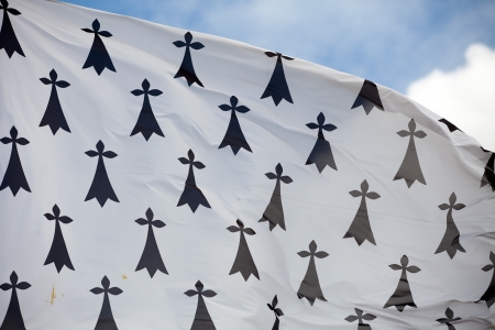Medieval flag fluttering in the sky.  Amboise Castle, one of the marvelous towns of the Loire Valleyの写真素材