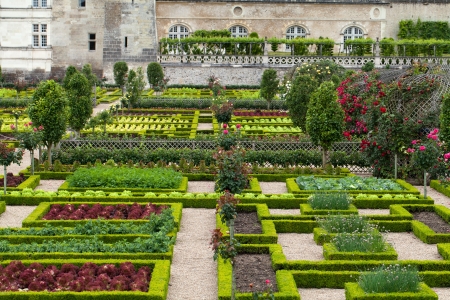 Gardens and Chateau de Villandry  in  Loire Valley in France のeditorial素材