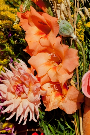 beautiful bouquets of flowers and herbsの写真素材