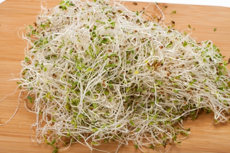 The healthy diet  Fresh sprouts isolated on white background の写真素材