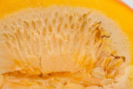 Fresh orange pumpkin isolated on white background の写真素材