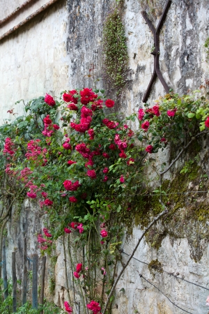 Romantic streets in French country towns in the Valley of Loireの写真素材