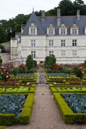 Kitchen garden in  Chateau de Villandry. Loire Valley, France のeditorial素材