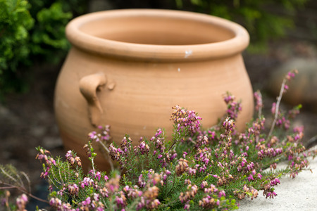 Ceremic jug in gardenの写真素材