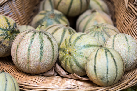 Cantaloupes Melons on a market stallの写真素材