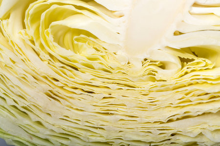 white  cabbage, texture of cut white  cabbage showing inside curly surfaceの写真素材
