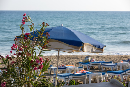 Sun loungers on beach  before the sunsetの写真素材